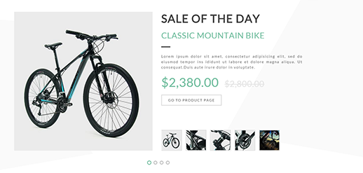 Native Theme Features - Sale of the Day plugin included